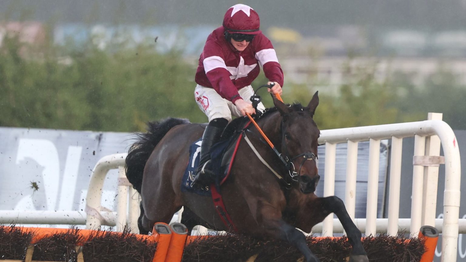 Neville Hotels Hurdle: Brighterdaysahead mengalahkan State Man di Leopardstown untuk meningkatkan tantangan Champion Hurdle | Berita Balapan