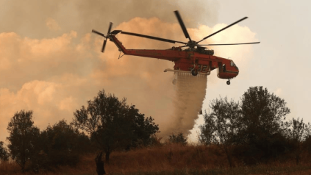 13 Korban Meninggal Akibat Kebakaran Hutan di California