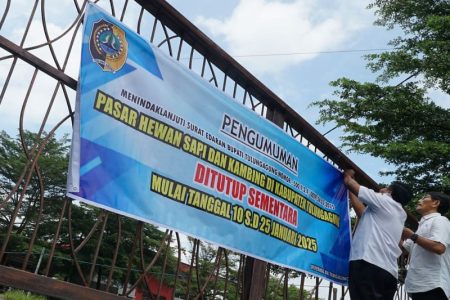 Berantas Penyebaran Penyakit Mulut dan Mulut, Jatim Butuh 7 Juta Vaksin