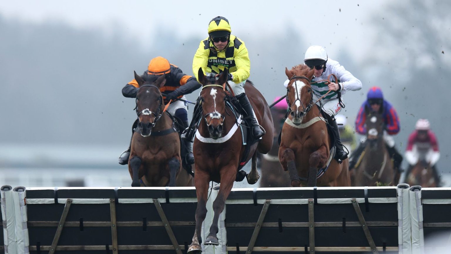 Festival Cheltenham: Kapal pesiar Lulamba favorit kemenangan hingga debut Inggris yang mengesankan di Ascot untuk Nicky Henderson | Berita Balapan