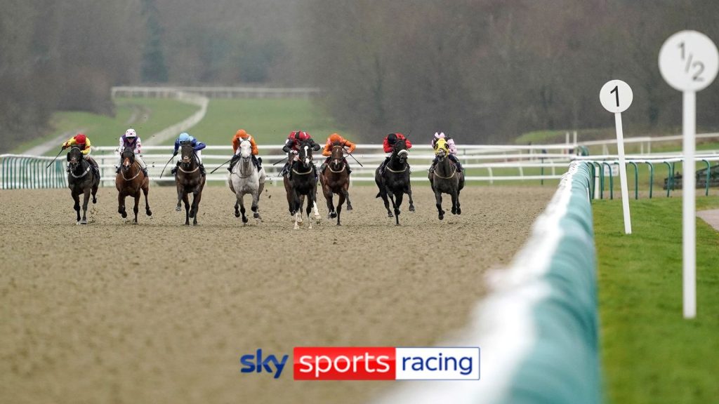 Hari ini di Sky Sports Racing: Lingfield dan Southwell menjadi tuan rumah sembilan kartu epik balapan yang menampilkan Havana Sky dalam enam waktu | Berita Balapan