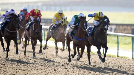 Hari ini di Sky Sports Racing: Lingfield dan Wolverhampton menjadi tuan rumah Live All-Weather Action pada hari Senin | Berita Balap