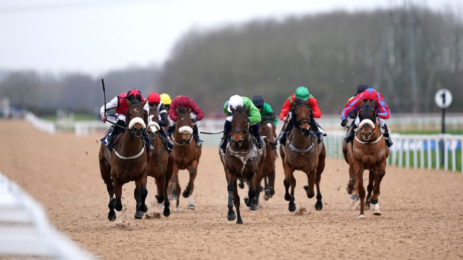 Hari ini di Sky Sports Racing: Southwell menjadi tuan rumah kartu sembilan ras | Berita Balap