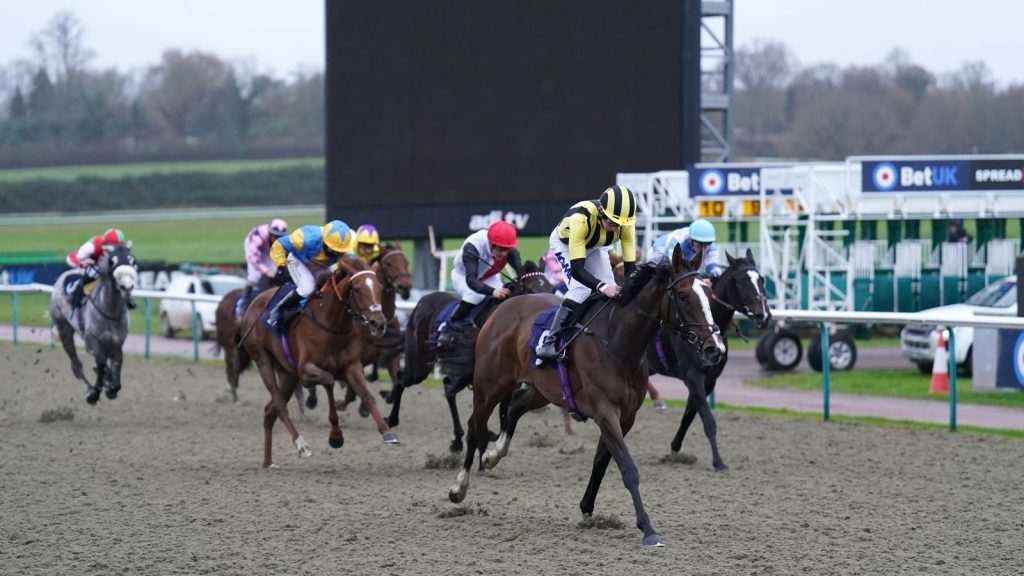 Hari ini di Sky Sports Racing: William Haggas menaruh harapan pada Carbine Harvester di Lingfield | Berita Balapan