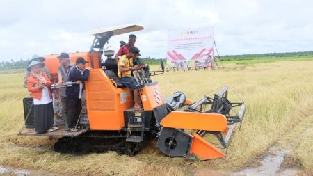 Jelang Perubahan HPP, Bulog Pantau Titik Panen