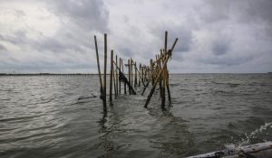 KLH Selidiki Temuan Pagar Laut di Tangerang