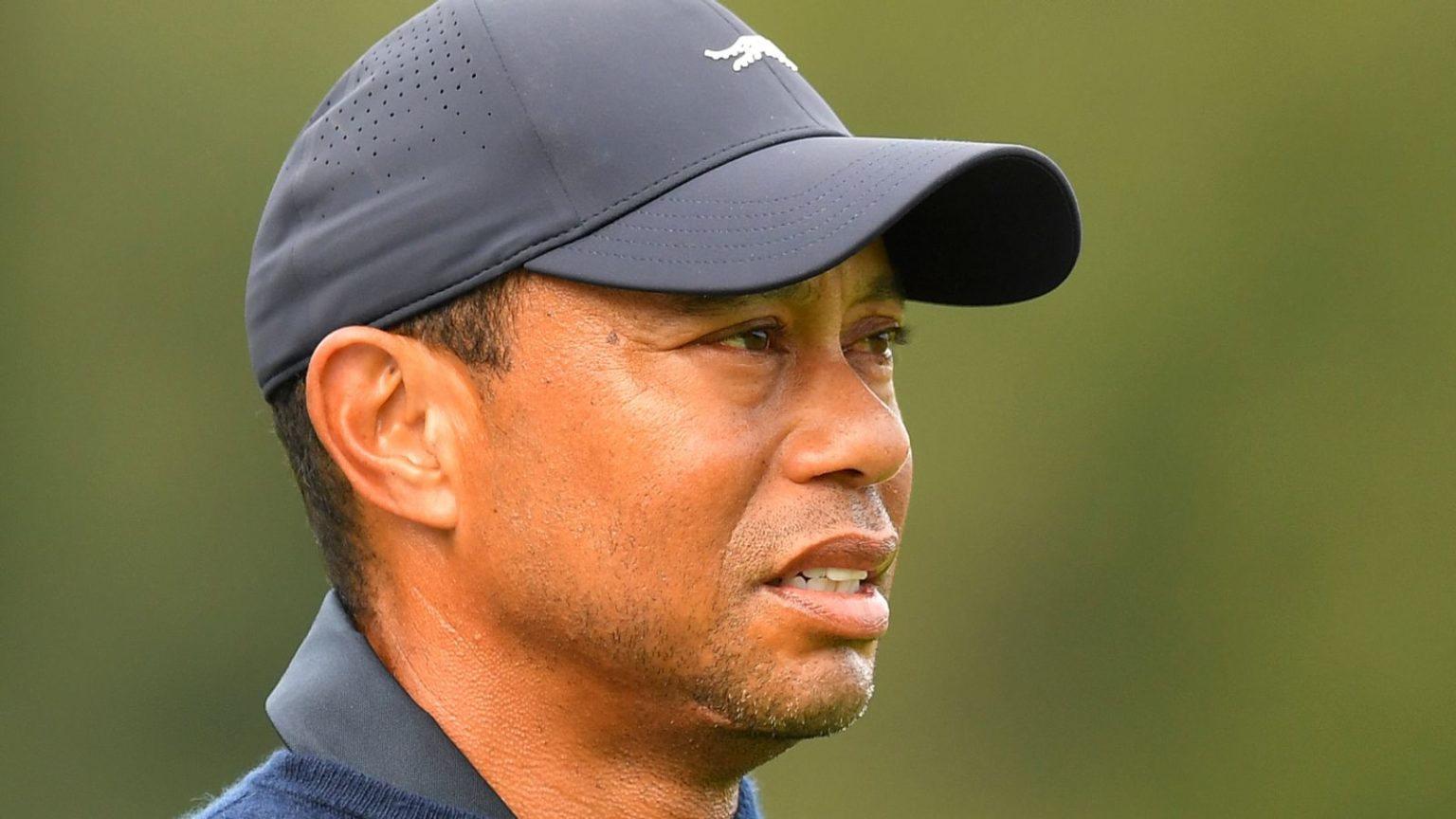 Genesis Invitational yang dipandu Tiger Woods beralih ke Torrey Pines setelah kebakaran hutan di Los Angeles | Berita Golf