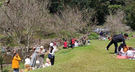 Kunjungan wisatawan saat libur Natal di Cianjur menurun