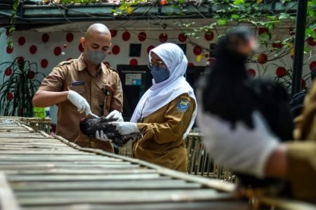 Mengantisipasi Flu Burung dan ISPA Pentingnya Kolaborasi One Health bagi Indonesia