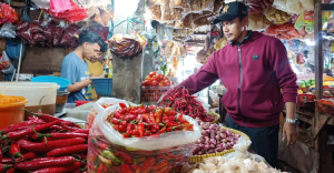 Produksi Terganggu Akibat Cuaca Ekstrem Pasokan Cabai ke Jakarta Anjlok 56 Persen