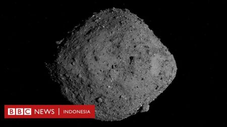 Sains: Asteroid membawa unsur -unsur penting saat jatuh ke bumi, kata peneliti