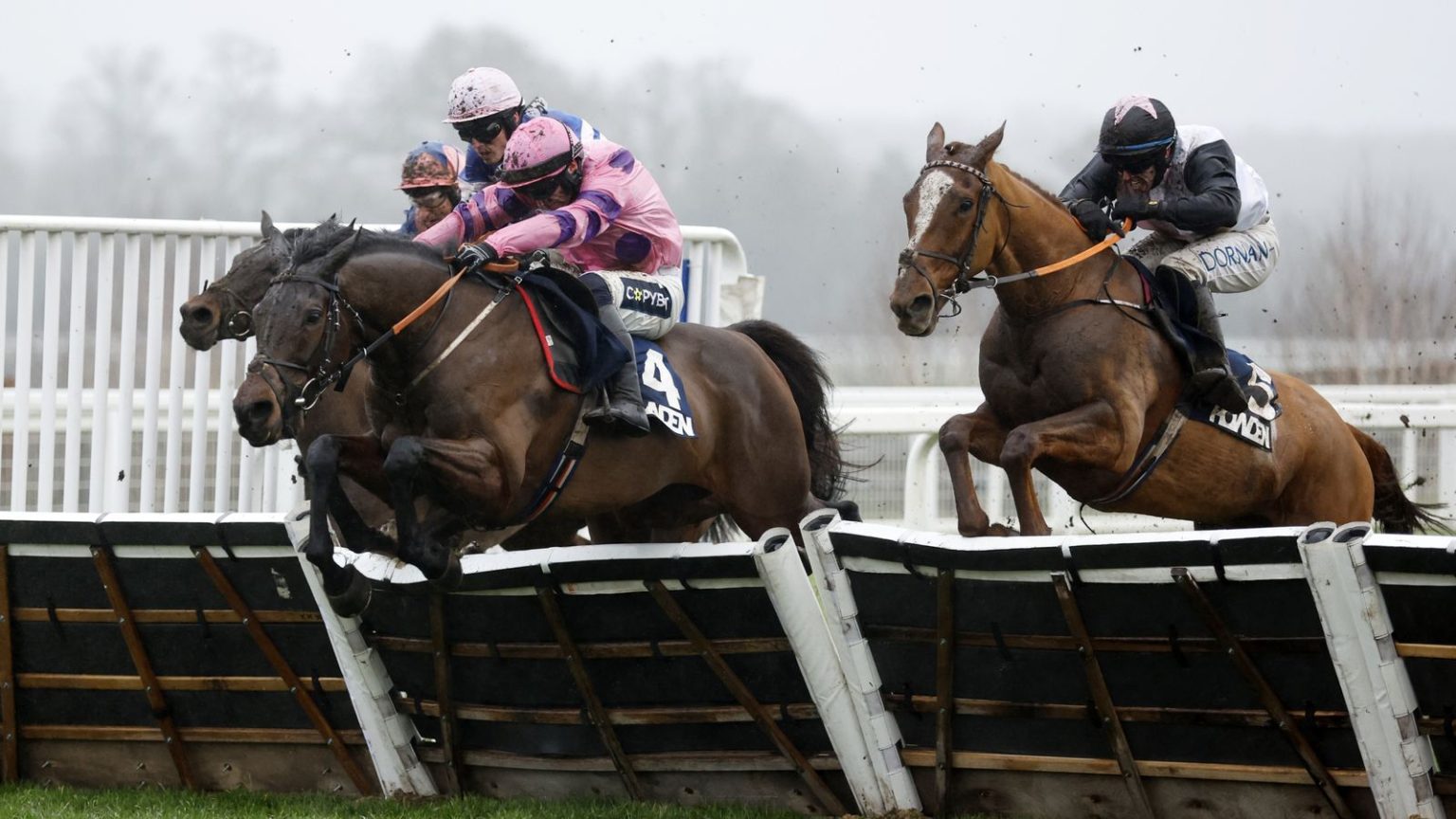 Tips Cheltenham: Crambo dengan baik disukai tanah Land Cleeve Hurdle | Berita Balap