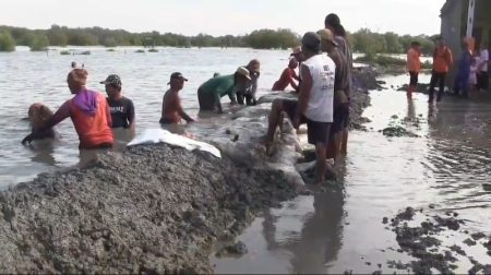 Warga Pantai Utara Subang Bangun Tanggul Penahan Rob