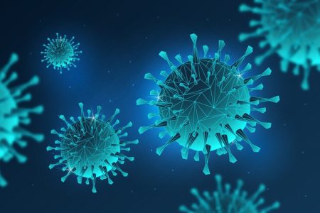 Peneliti Tiongkok menemukan virus kelelawar korona baru yang mirip dengan Covid-19