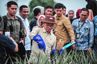 Cawe-Cawe Mendes di Serang Regency Pilkada dapat dilaporkan ke KPK