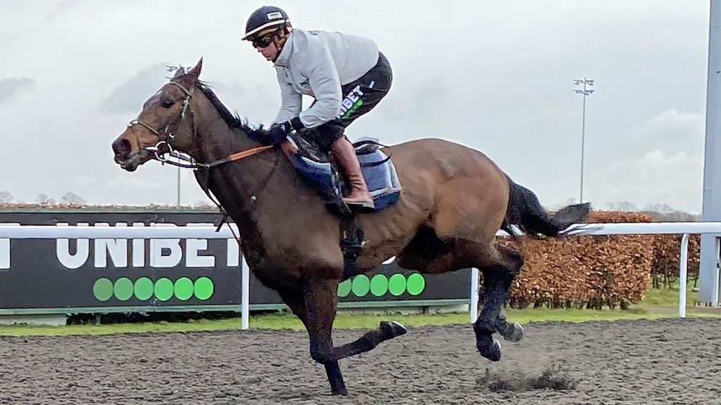 Constitution Hill: Nicky Henderson’s Champion Hurdle Favorite Passses Pra-Festival Gallop Dalam Gaya | Berita Balap