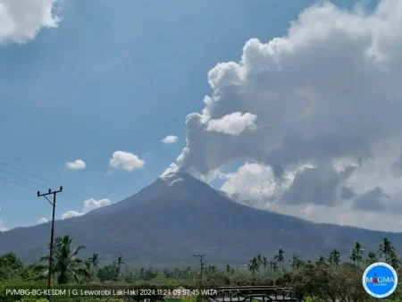 Hanya 1,5 bulan ke bawah level, pria Gunung Lewotobi kembali ke status peringatan