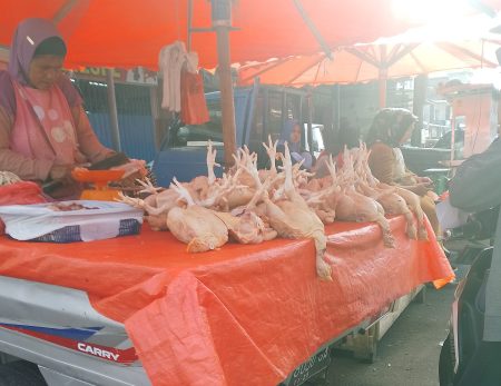 Harga ayam dan komoditas cabai di Bengkulu, stabil