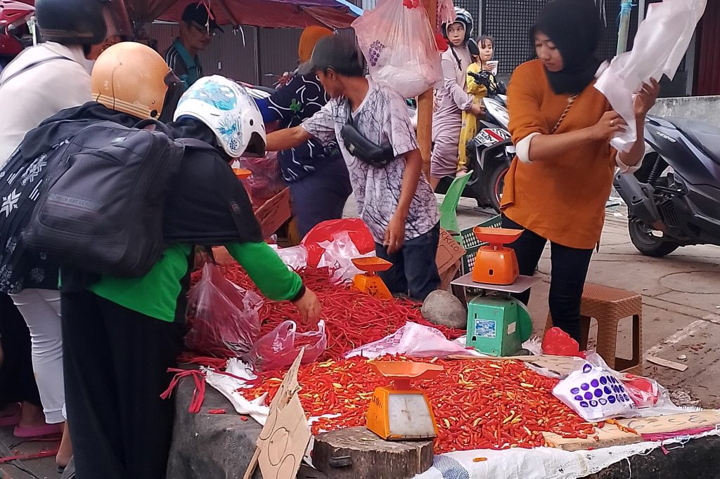 Harga ayam dan komoditas cabai di Bengkulu, turun