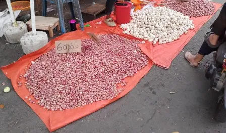 Harga bawang naik, cabai di Bengkulu