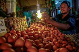 Harga telur stabil, petani siap memasok kebutuhan Ramadhan dan Idul Fitri