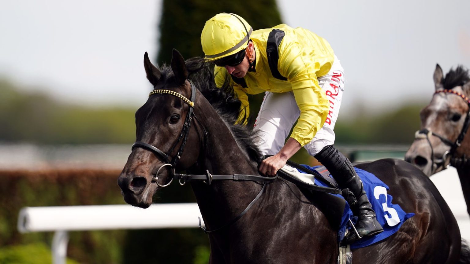 Hari ini di Sky Sports Racing: Maljoom Headline Tandridge Stakes Line-up | Berita Balap