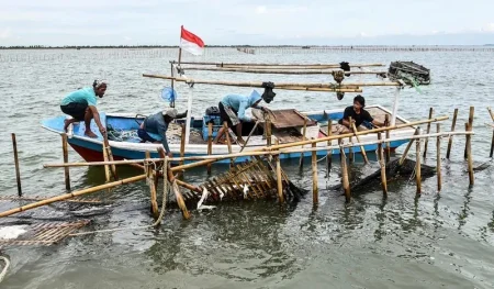 Ini adalah mode Kohod Kades yang diduga menjadi subjek dokumen sertifikat HGB untuk Laut Tangerang