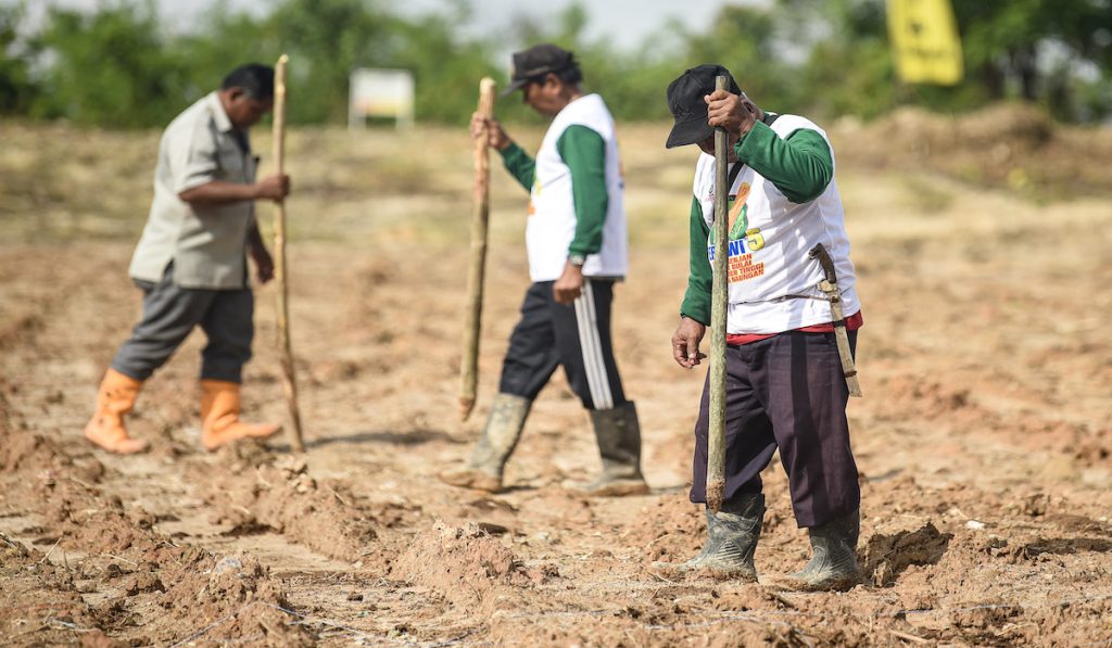 Kai memperkuat ketahanan pangan nasional melalui distribusi pupuk