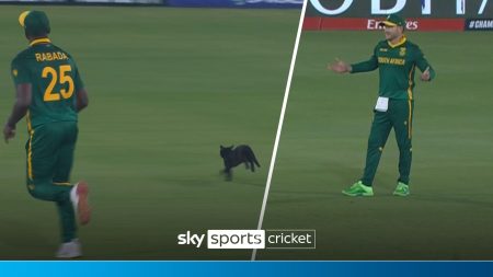 ‘Ketika Rabada mengejar Anda, Anda berlari!’ | Cat dikejar pitch setelah berhenti bermain!