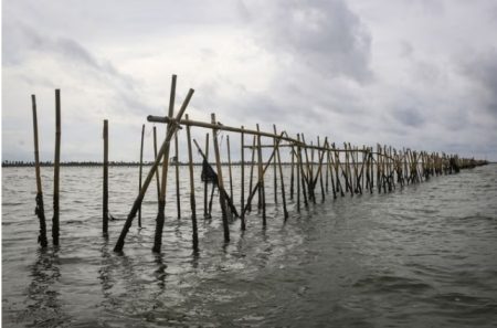 Konstruksi pelabuhan ikan di bekasi ditargetkan untuk diselesaikan dalam 3 bulan