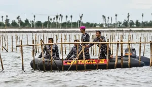 Lanjutkan pembongkaran pagar laut di tangerang, Angkatan Laut yang tersisa adalah 5,26 kilometer