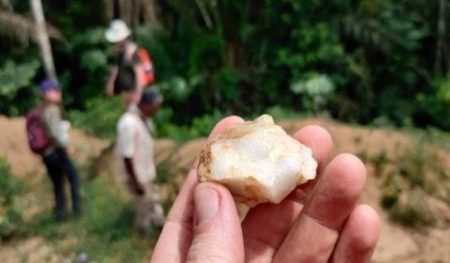 Para ilmuwan menemukan bukti paling awal bahwa leluhur manusia telah tinggal di hutan Afrika, 150.000 tahun yang lalu