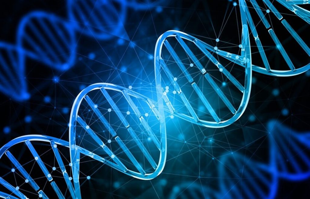 Para ilmuwan menemukan hubungan antara jam epigenetik dan mutasi DNA dalam penuaan