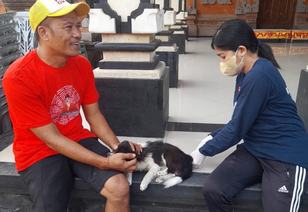 Pemerintah Kota Denpasar akan mengadakan festival anjing dalam konteks mencegah transmisi rabies