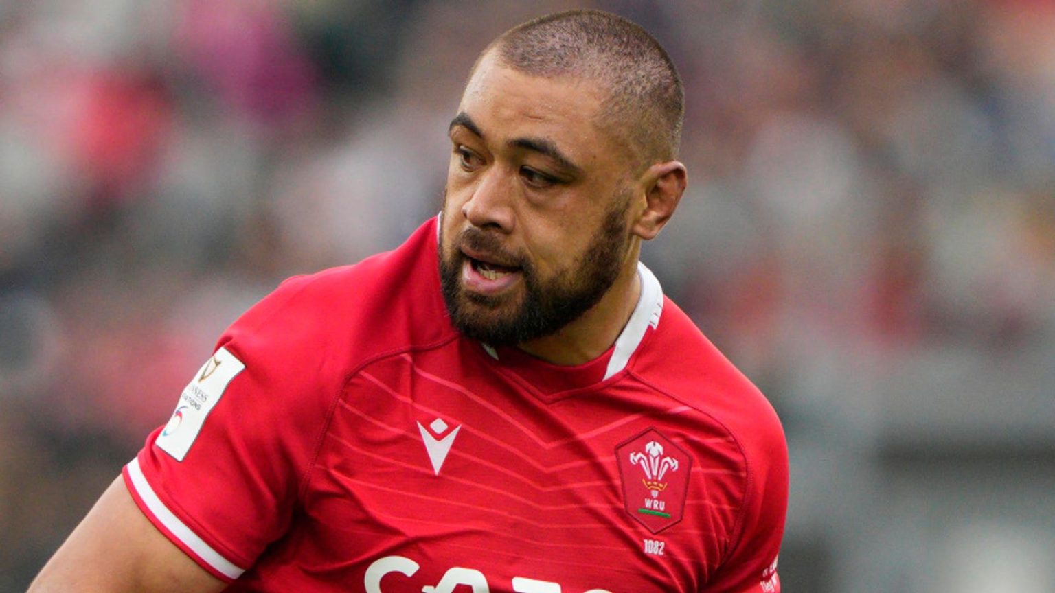 Six Nations: Eddie James dan Taulupe Faletau dibawa oleh Warren Gatland untuk perjalanan Wales ke Italia | Berita Rugby Union