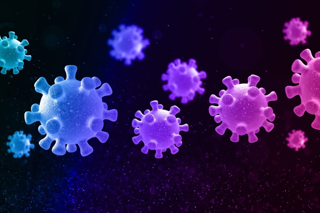 Virus kelelawar baru mirip dengan Covid-19 yang ditemukan di Cina, dapat ditularkan ke manusia