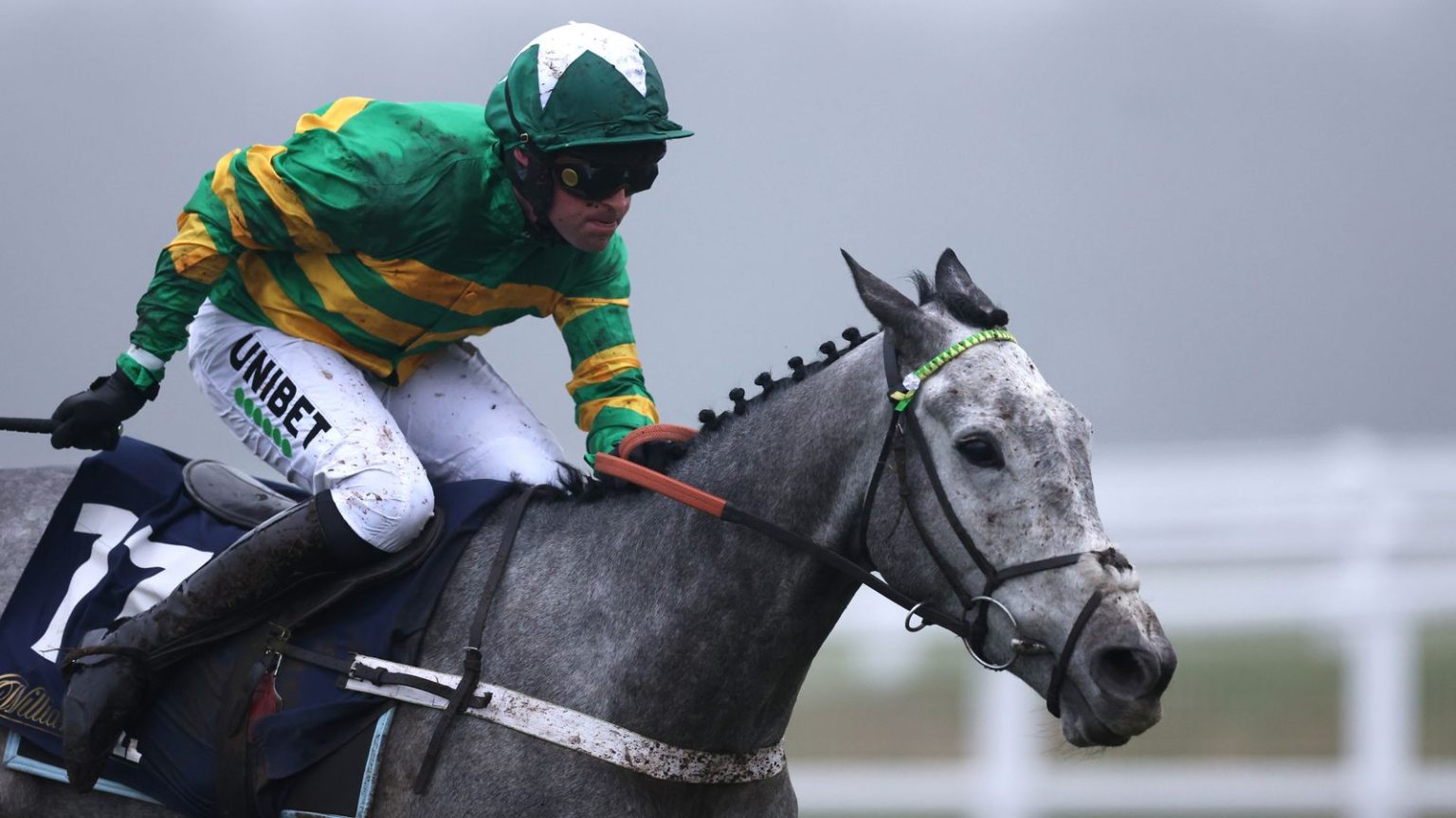 William Hill Hurdle: Joyeuse Sparks Perayaan Newbury untuk Nicky Henderson | Berita Balap