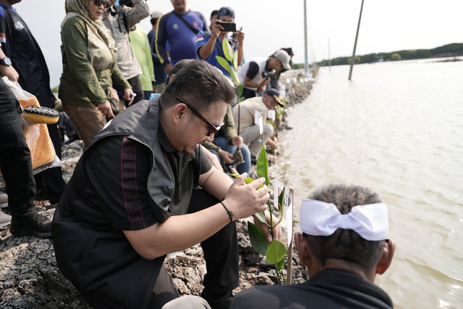 2.400 bibit pohon bakau didistribusikan di Distrik Legonkulon, Subang