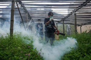 26 kasus DHF, desa Rawasari meningkatkan fogging dan spread untuk ikan betta