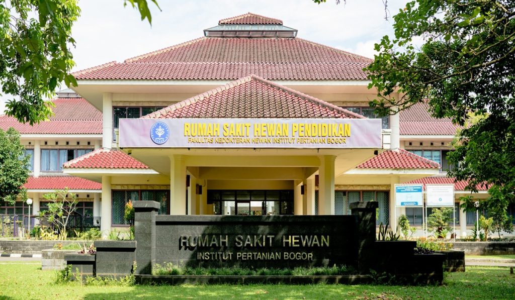 Bingung Anabul saat pulang RSHP IPB University bisa menjadi solusi