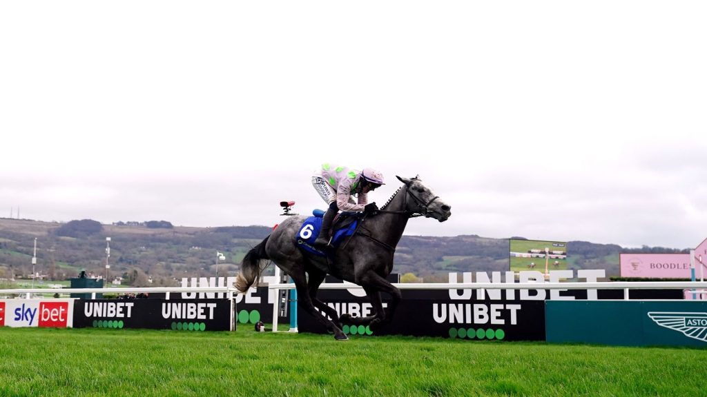 Festival Cheltenham: Lossiemouth Sidesteps Constution Hill Champion Hurdle Clash | Berita Balap