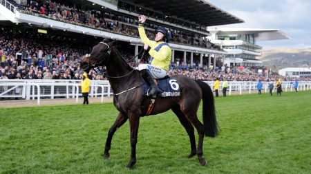 Festival Cheltenham: Marine Nationale mengalahkan Jonbon di Juara Ibu Ratu Chase Showdown di Cheltenham | Berita Balap