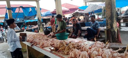 Harga ayam pedaging meroket di Aceh, penduduknya gelisah