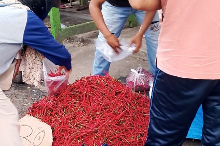 Harga cabai di Bengkulu turun dengan IDR 20 ribu per kilogram