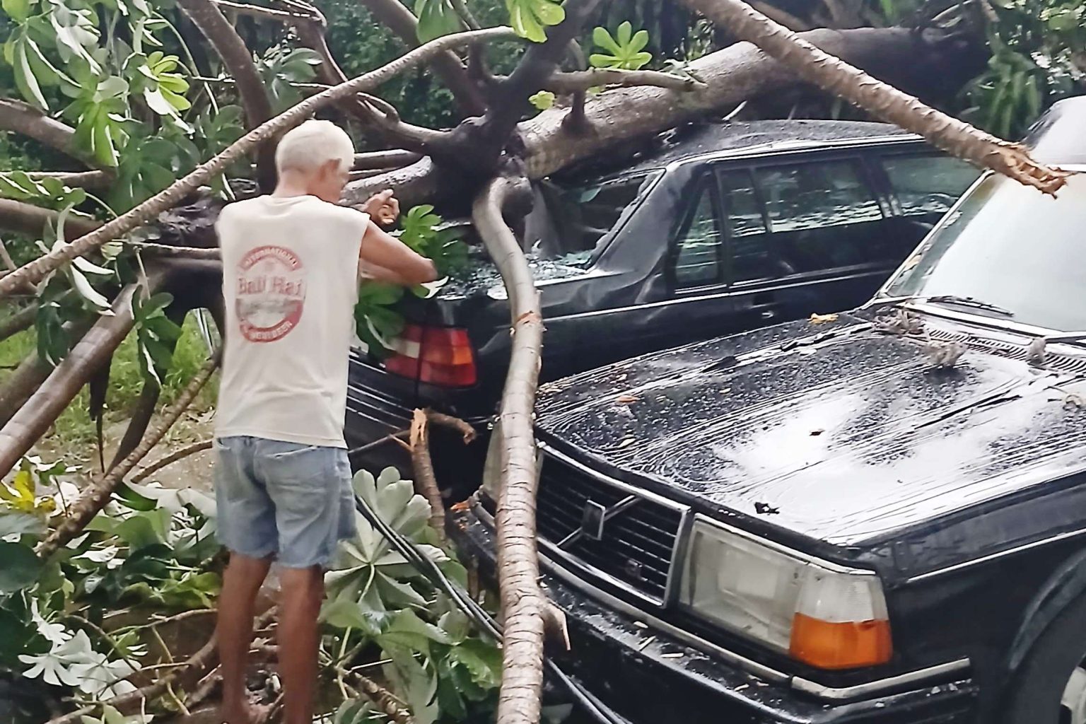 Hujan deras dan angin kencang di Depok Depok pohon pohon 3 mobil dari kutub listrik runtuh