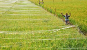 Inovasi berbasis sains diperlukan untuk kemajuan pertanian dan kesehatan