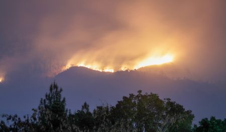 Kebakaran hutan di Jepang berhasil dikendalikan