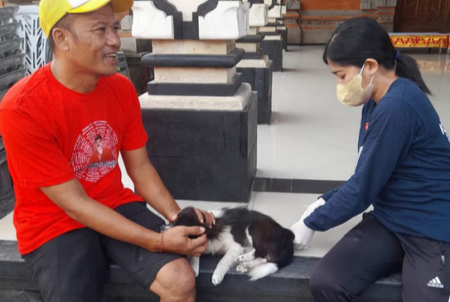 Kementerian Kesehatan mengeluarkan sirkulasi kasus rabies