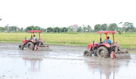 Kementerian Pertanian mencairkan anggaran RP1 triliun untuk mencetak 500 ribu hektar sawah di Kalimantan Selatan