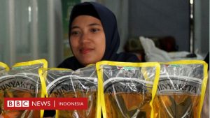 Minyak: Dugaan minyak curang – siapa pemiliknya dan apa langkah -langkah polisi?